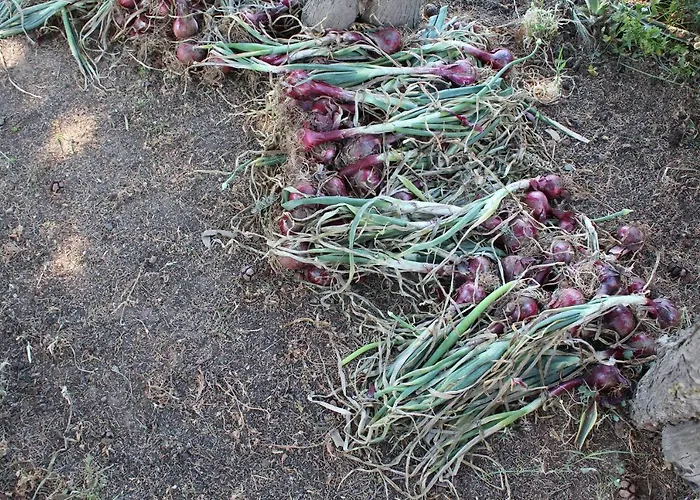 בית כפרי Casa Vacanze Marzano