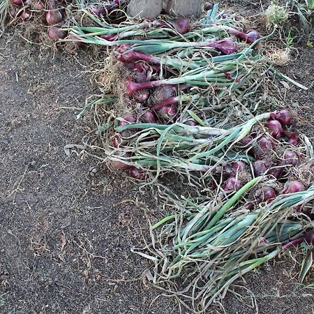 Landhaus Casa Vacanze Marzano